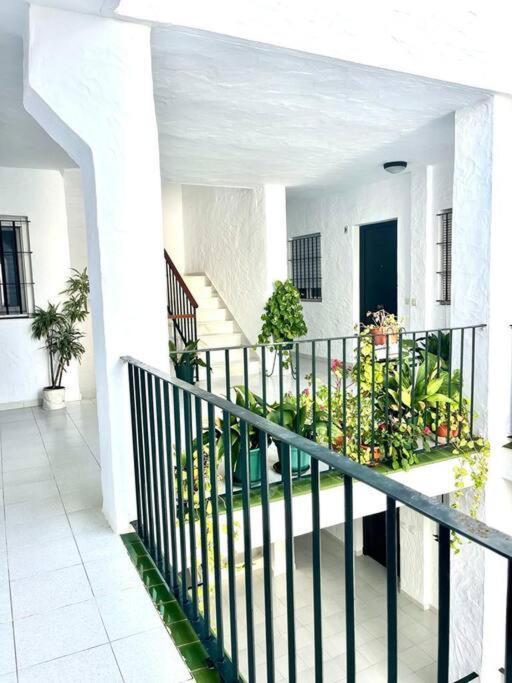 Apartament El Gato Gris Conil De La Frontera Zewnętrze zdjęcie